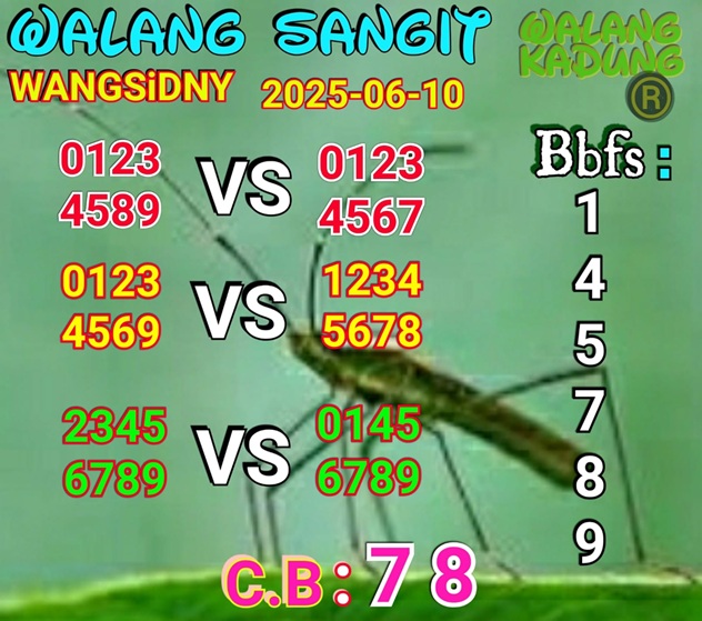 Syair sdy